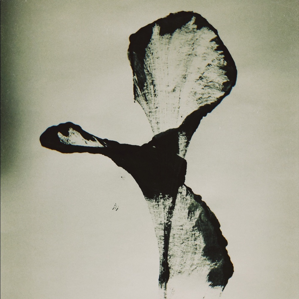 Meet your Posher, Yalithzel